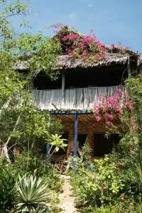 Blue Monkey Beach Cottages - Insel Pemba