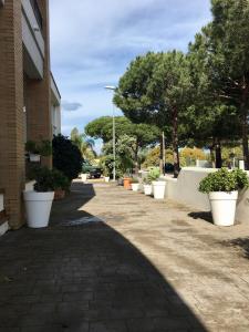 Hotel Marisma Sancti Petri