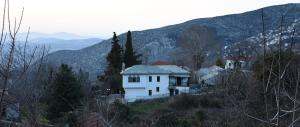 Anna's Villa Portaria Pelion Greece