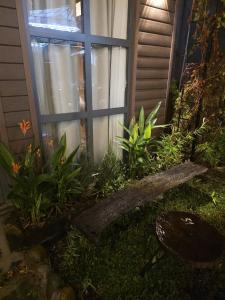 Mays Homestay - Garden Retreat