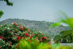 Chongko 4 Bed Villa, Few Minutes To Rawai
