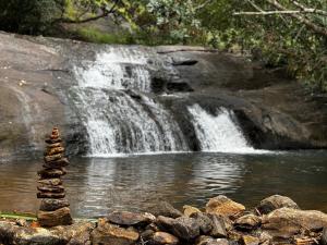 Tiny Home in 12 Acres with Waterfall