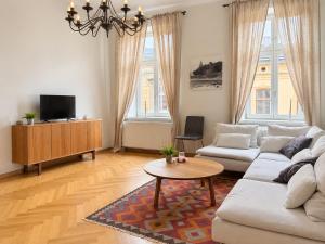 Spacious Apartment in Krakow Old Town