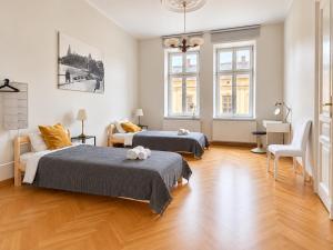 Spacious Apartment in Krakow Old Town