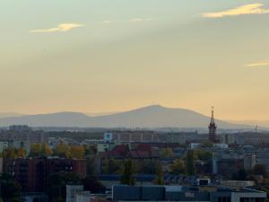 Odra Tower Skyline & Parking Apartment by BookingHost