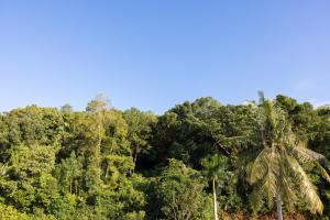 An Hill Homestay Phú Quốc