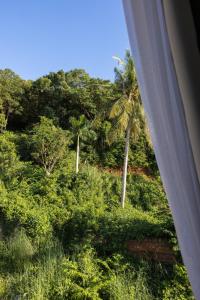 An Hill Homestay Phú Quốc