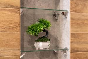 RentPlanet - Apartament Środkowa