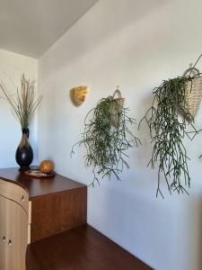 Apartament nad morzem Diwa