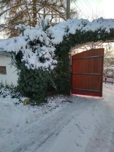 Statek Nikolas Sedlnice