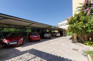 Apartments and Room Lotus
