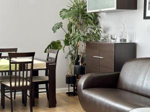Color 24 - Apartament PANORAMA