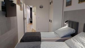 Apartament SUDECKIE GÓRY