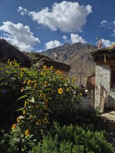 Donsa Homestay