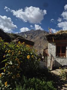 Donsa Homestay