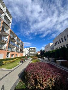 Apartament z widokiem RYNARZEWSKA Grunwald