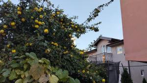 Apartments & Rooms -PANORAMA MDLL -FREE PARKING