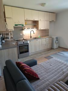 Apartmán Family s výhľadom na Choč