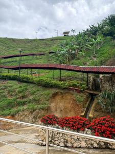 AJ Eco Glamping