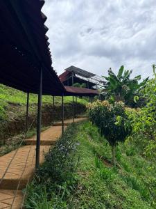AJ Eco Glamping