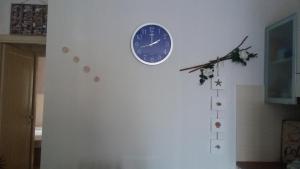 Cavalluccio Marino img24