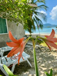 SUNSET VILLAGE seashore Ao Yon & Kao Khad beaches without big waves
