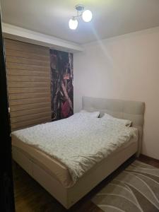 Aura suites 4