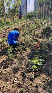 Il Calibro B&B