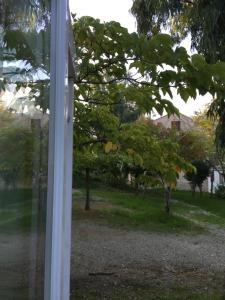 Campings Camping les Orangers : Bungalow 1 Chambre