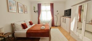 Classic 2-Bedroom Apartment, Bright, Quiet & Views