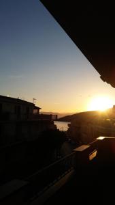 Cavalluccio Marino img52