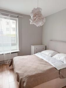 COZY Stay Apartment