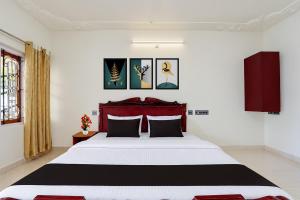 Collection O Periyar National Park Formerly Periyar Stay