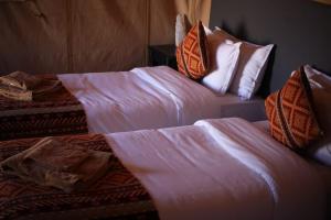 Desert Aura Luxury Camp