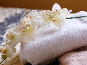 Siebers-Ferienwohnung