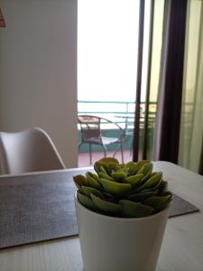 Apart Hotel Home Argus