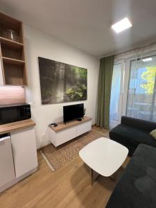 Apartment with parking
