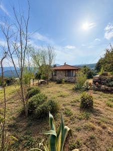 Olympos Stone House