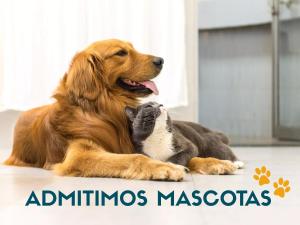 Apartamentos Costa Azahar 3000