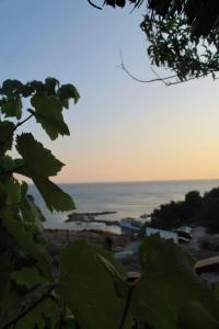 Beach-garden flat