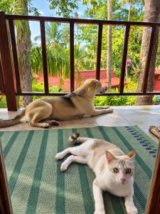 Cyana Resort