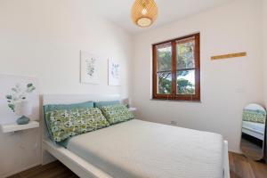 Salsedines House