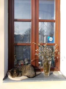 U Dvou lipek pod Broumovskými stěnami