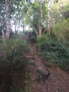 Blair Athol Accommodation