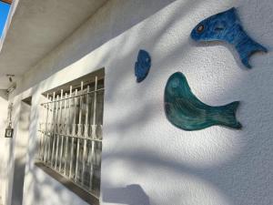 Casa Pez