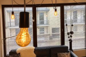 Kopernik-us 2 rooms - Old Town
