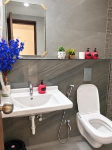 Hinjewadi 2bhk Valley facing House