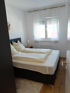 Apartmani Banja Koviljaca
