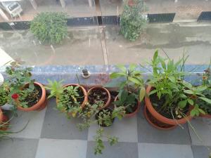 2BHK Near Nashik Railway Station Nk Pune Highway