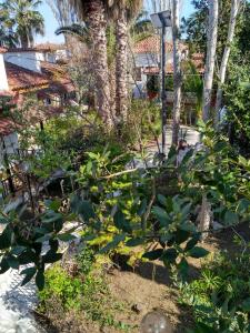 9 Musses Hotel Apartments Lesvos Greece